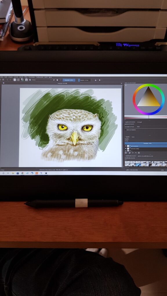 Estudo de pintura digital de uma ave de rapina conhecida como Coruja.